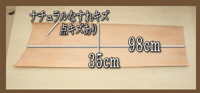 ウォレットのカードケースに最適です